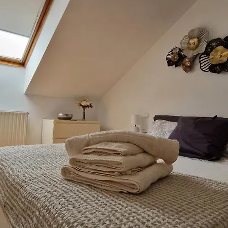 Junto A La Catedral Burgo